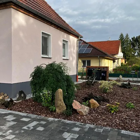 Albertus Cottbus